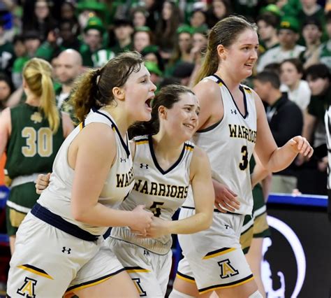 Andover edges Bishop Feehan, nets state championship